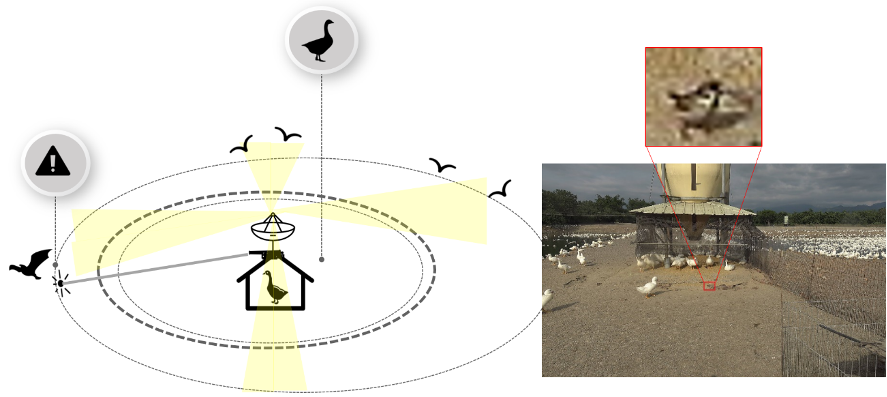 智慧農業-以數據增強法改善深度學習於小物件偵測之正確性：以鳥類偵測為例